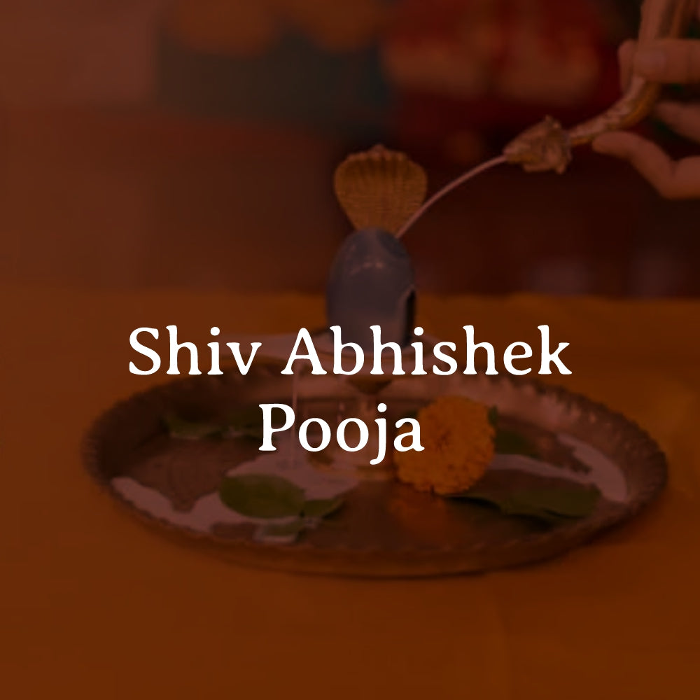 Online Rudrabhishek Pooja performed by 11 expert pandits with sacred chants and Shivling Abhishek

